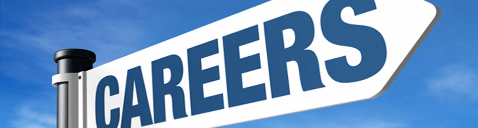 Prime Engineering Lanka | Careers